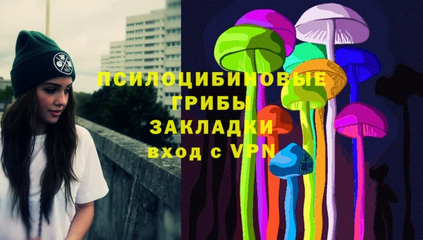 дурь Ельня
