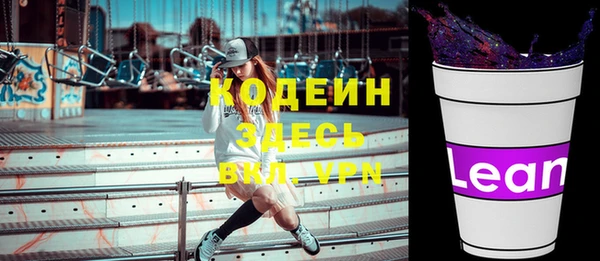 дурь Ельня