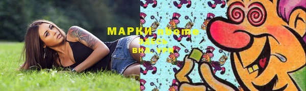 дурь Ельня