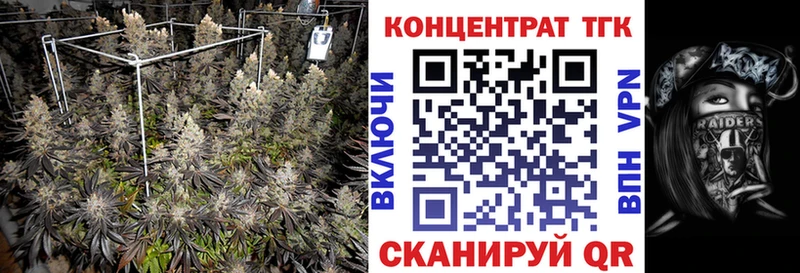 ТГК концентрат  сколько стоит  Семёнов 